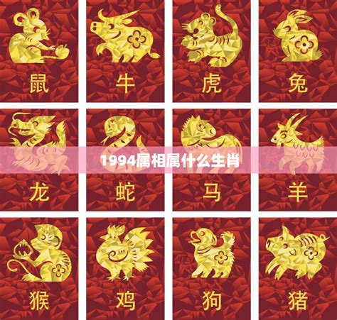 1994生肖|1994年属什么生肖 1994年出生的生肖是什么命